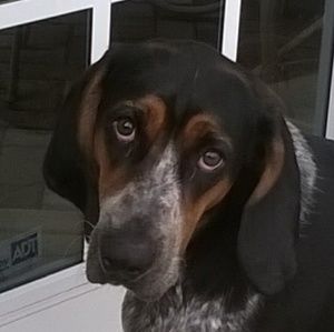 Meet your posher, Val.